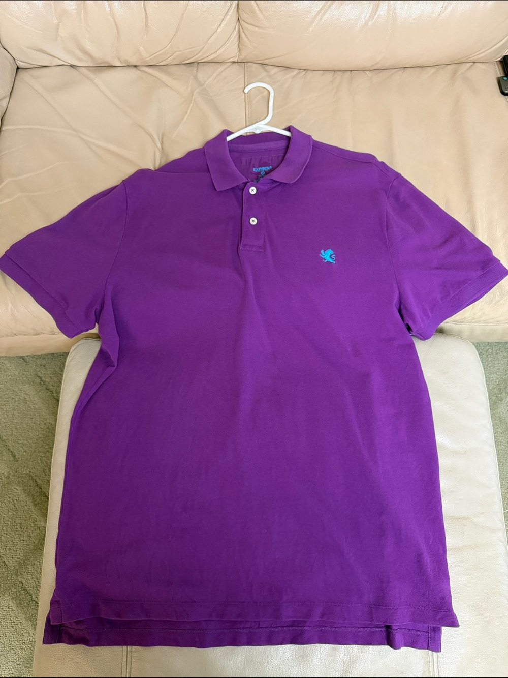 Express Men's Purple Polo with Aqua Embroidered Logo